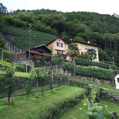 Appartamento Casa immersa nel vigneto Roveredo Esterno foto