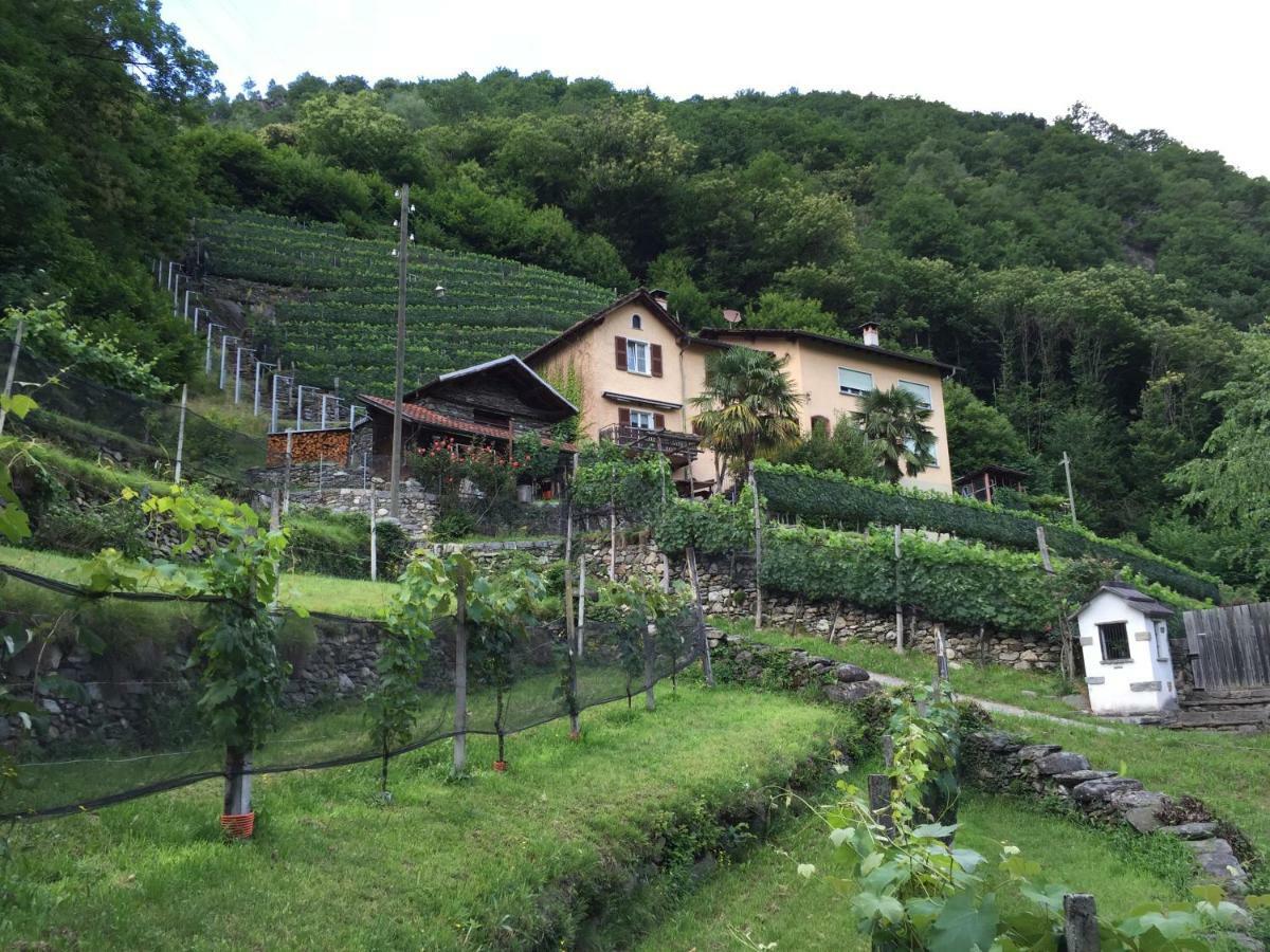 Appartamento Casa immersa nel vigneto Roveredo Esterno foto