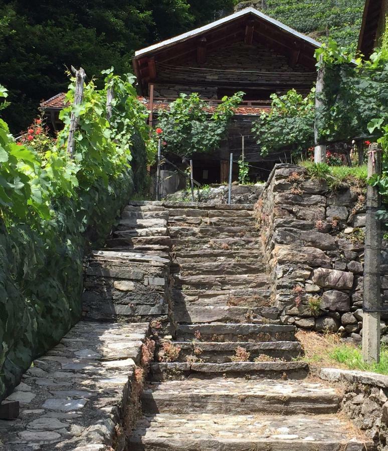 Appartamento Casa immersa nel vigneto Roveredo Esterno foto