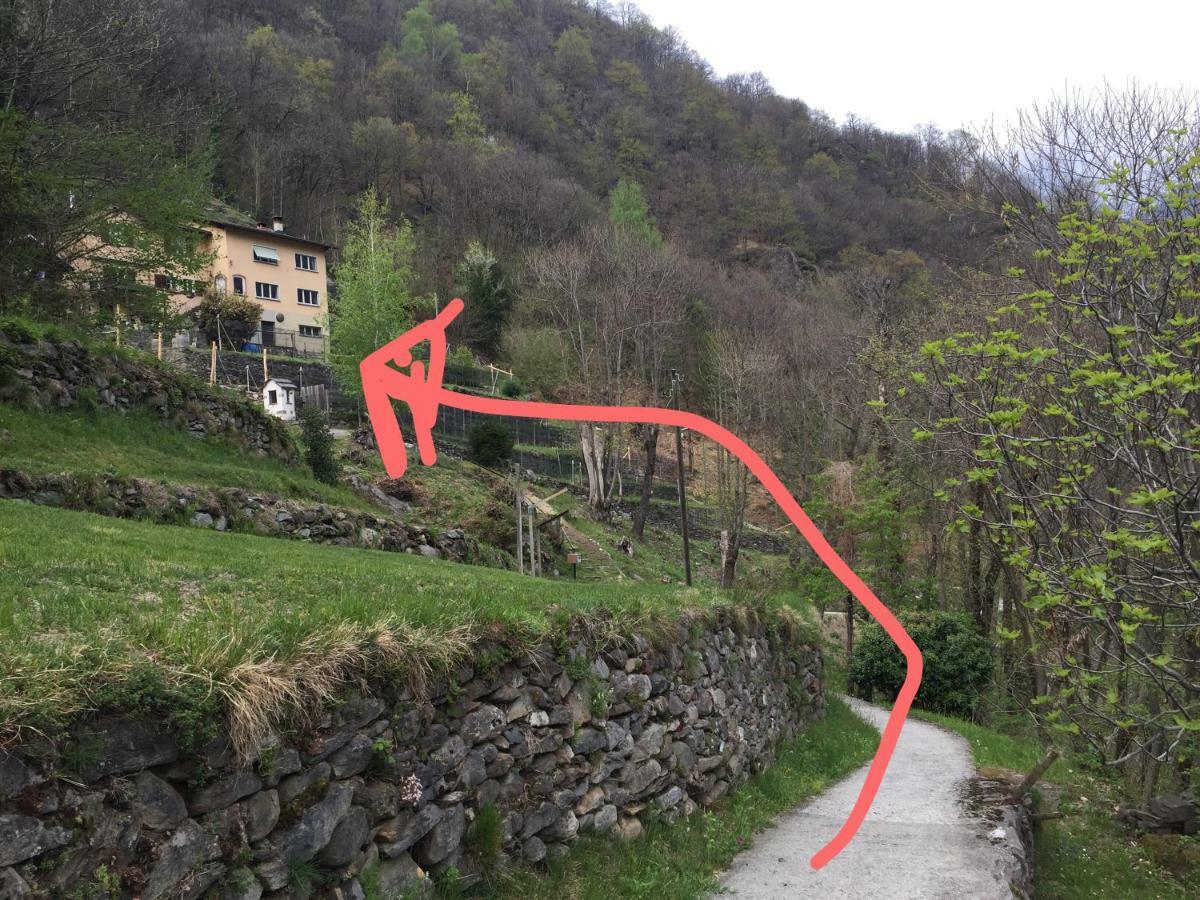 Appartamento Casa immersa nel vigneto Roveredo Esterno foto